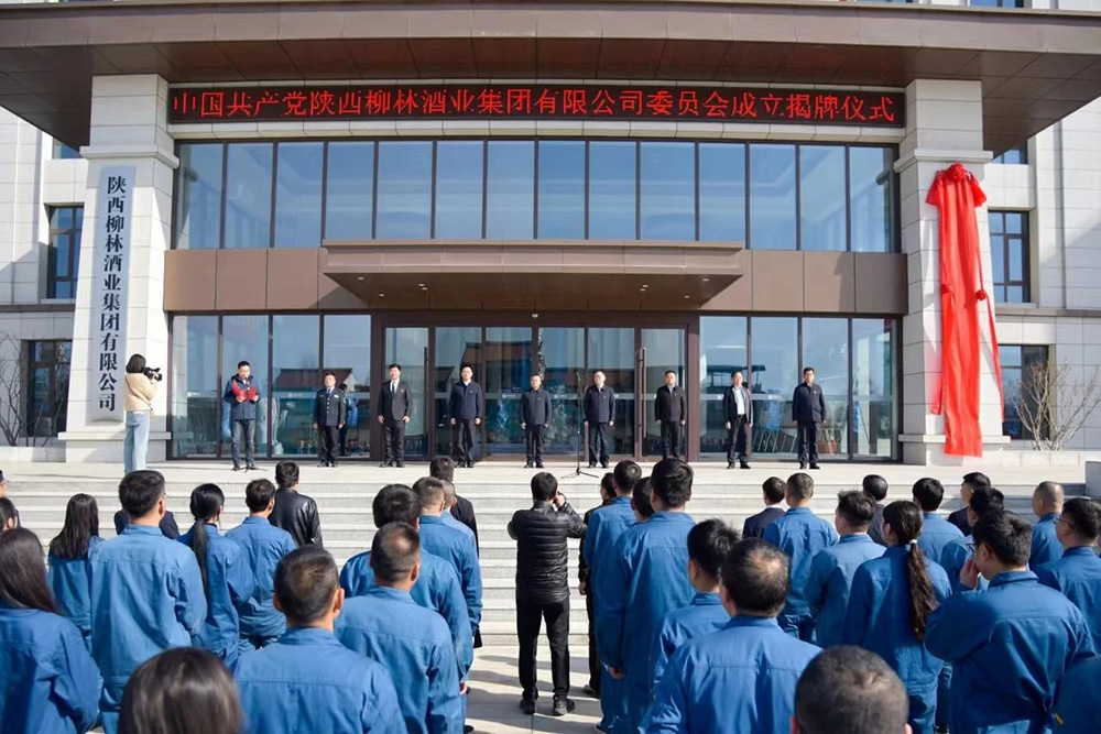 风劲帆满启新程 党建引领谱新篇 |中共ky开元委员会成立